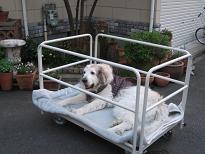 大型犬用台車